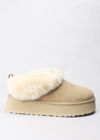 tazzelle mustard seed