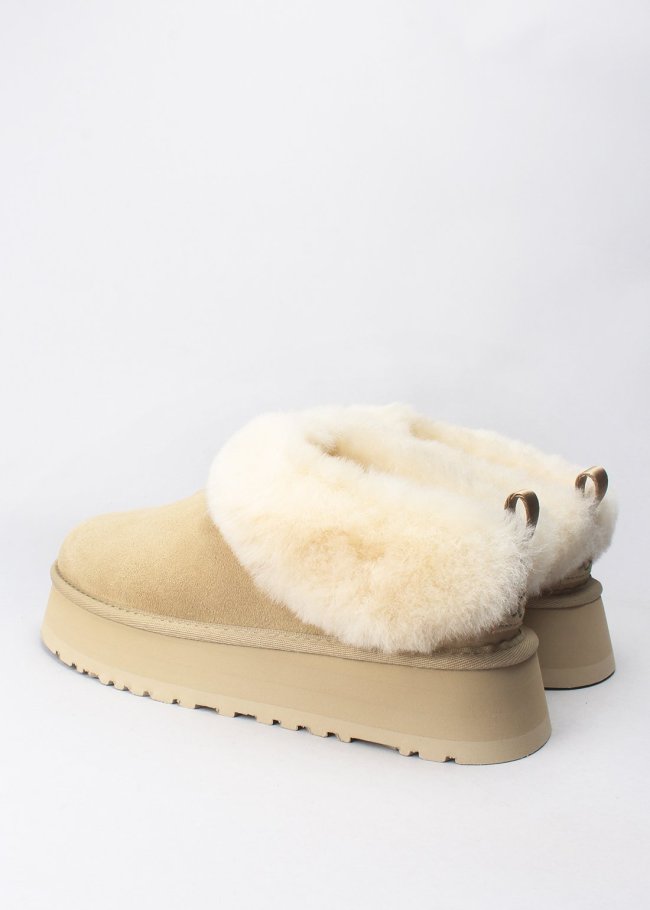 tazzelle mustard seed