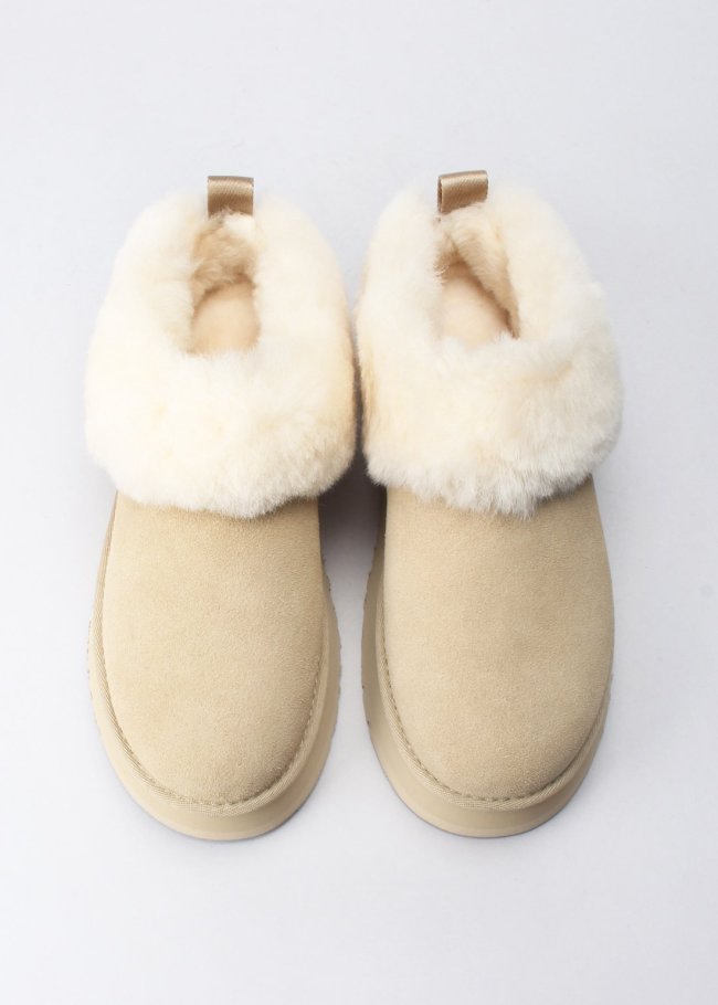 tazzelle mustard seed