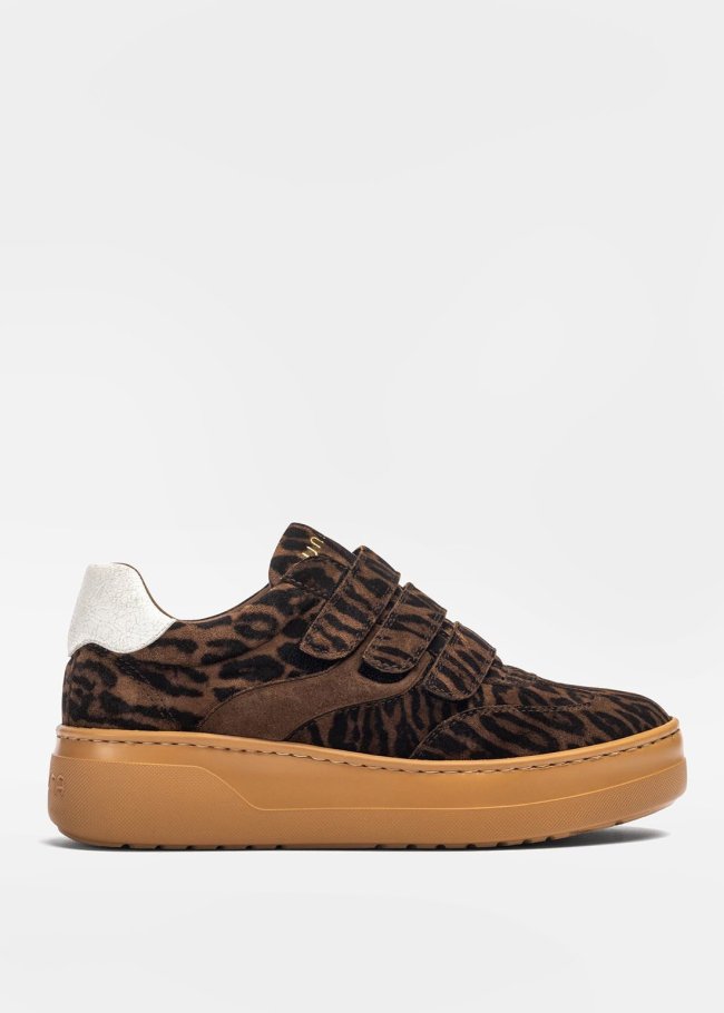 sneakers zulu wengue