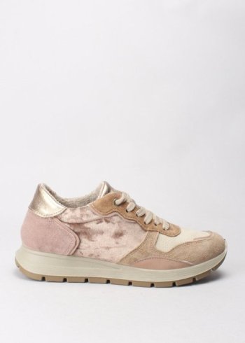 deportiva terciopelo biscotto