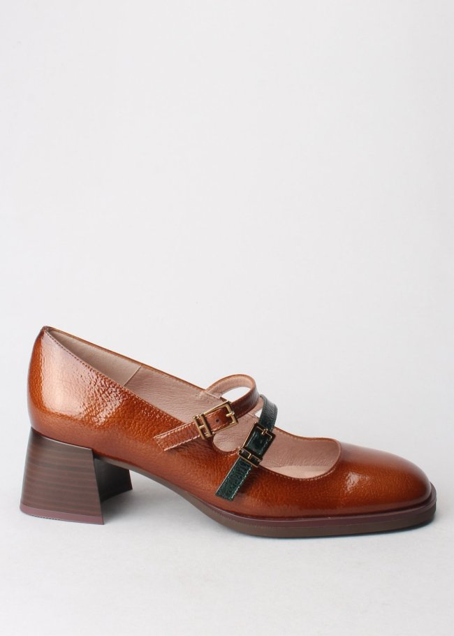 rio cuero rio forest