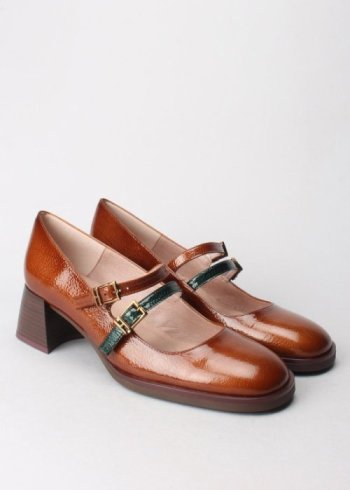 rio cuero rio forest 2