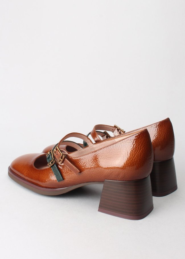 rio cuero rio forest